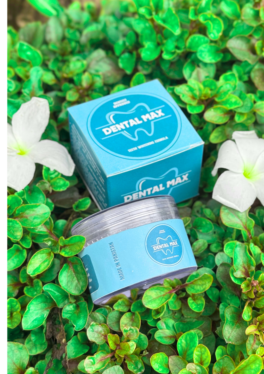 Dental Max Teeth Whitening Formula Dentist Approved