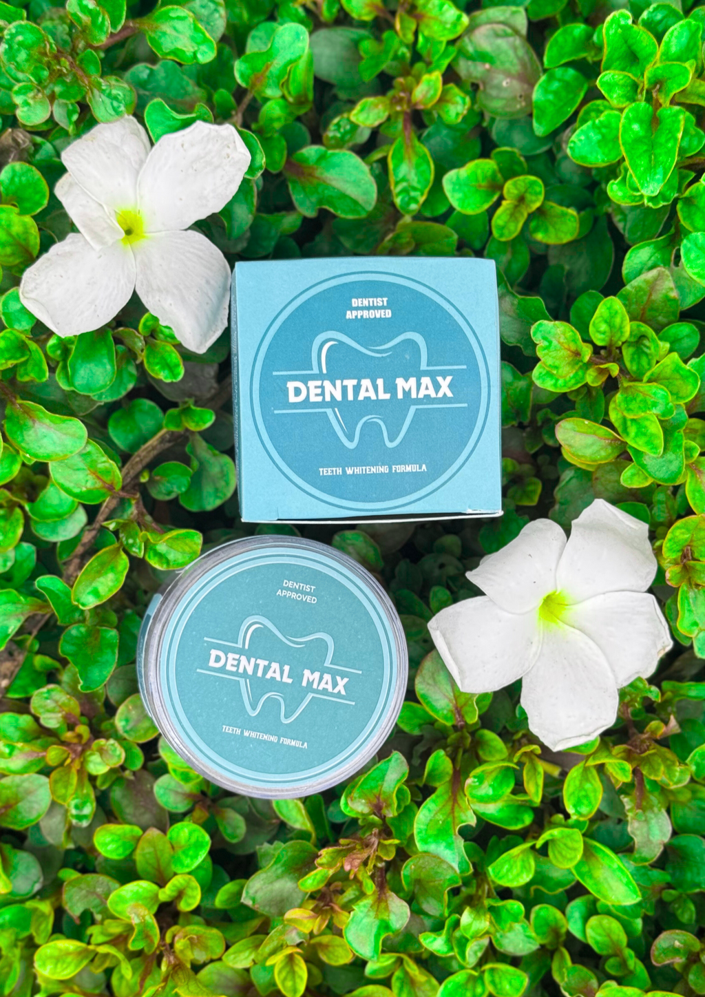 Dental Max Teeth Whitening Formula Dentist Approved